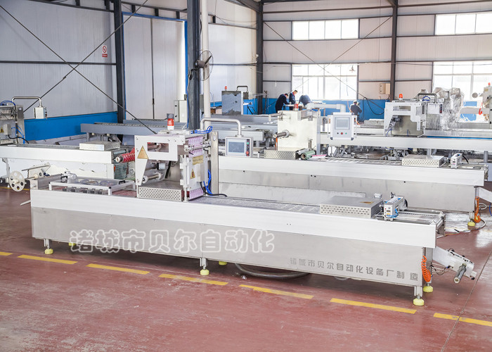 真空包裝機生產(chǎn)線